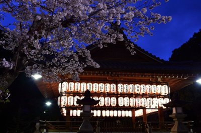 Muko Shrine at Kyoto