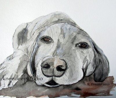 Let Sleeping Dogs Lie watercolor sketch 12x12