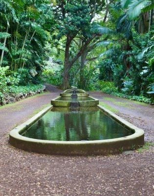 Reflecting Pool Kauai