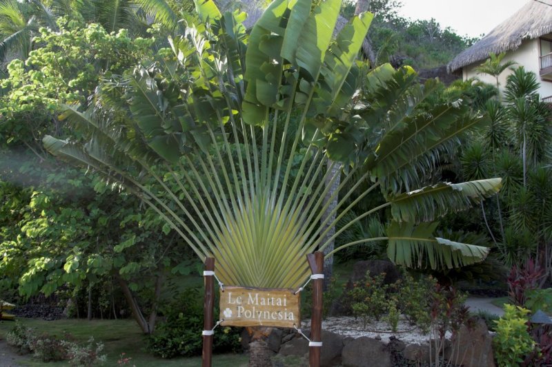 0440 Le Maitai Hotel