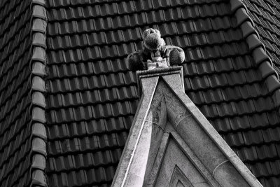 Immaculate B/W #5