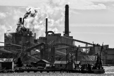 Pulp  Mill