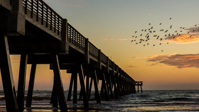 Pier and Flock