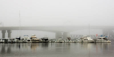 River City Marina in the Fog #1