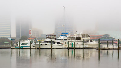 River City Marina in the Fog #2