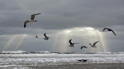 Sea and Sky #5