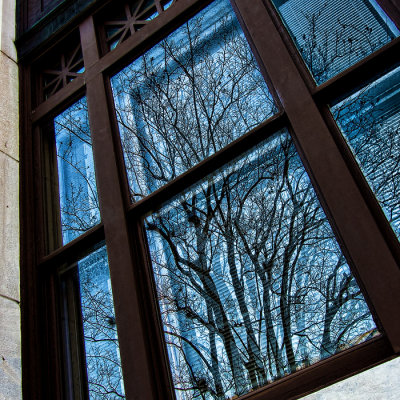 Winter Window Scape