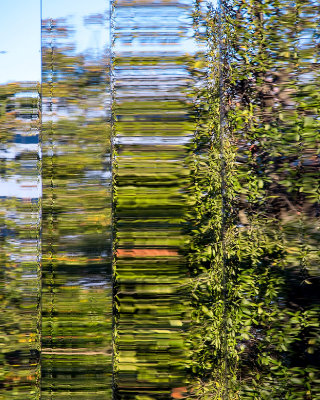 Trees for the Forest