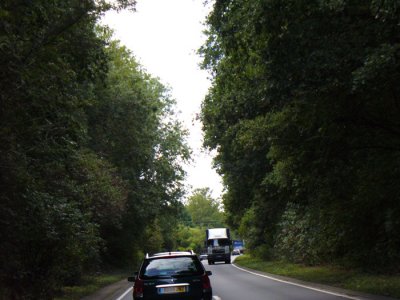 P1010541.jpg