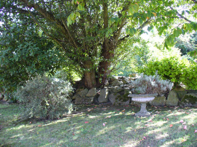 P1010544.jpg