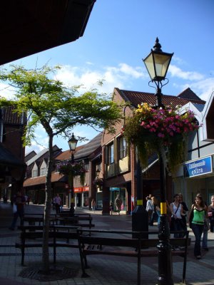 P1010554.jpg