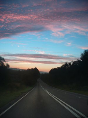 P1010687.jpg