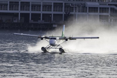 _DX_0773.JPG