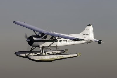 _DX_0888.JPG
