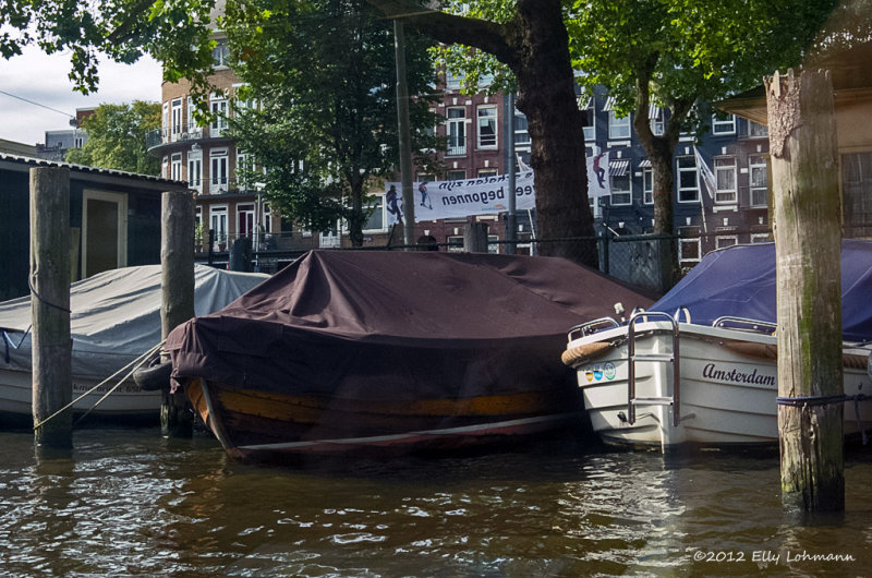 IMGP1167.jpg
