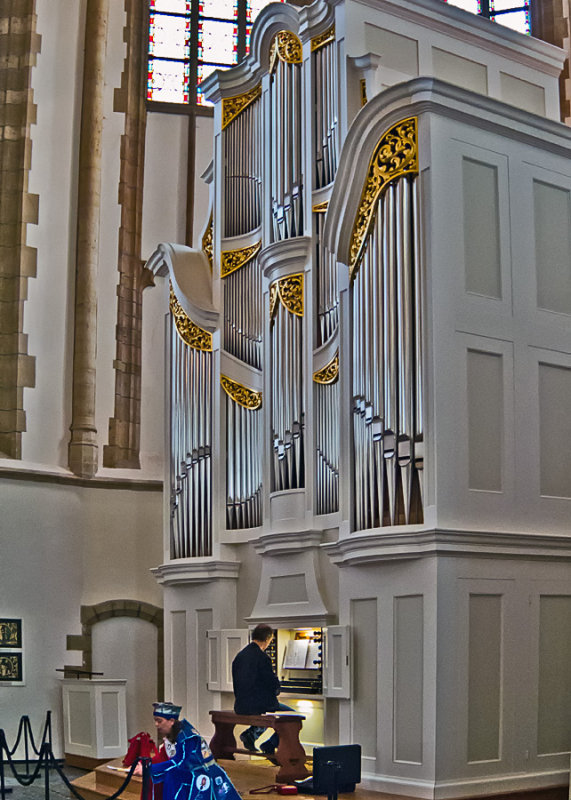 IMGP1278.jpg