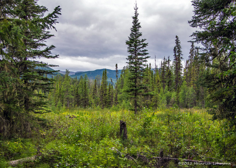 K5G2659-Liard Hotsprings.jpg