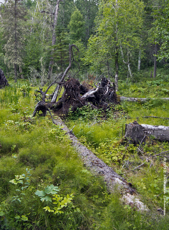 K5G2662.jpg