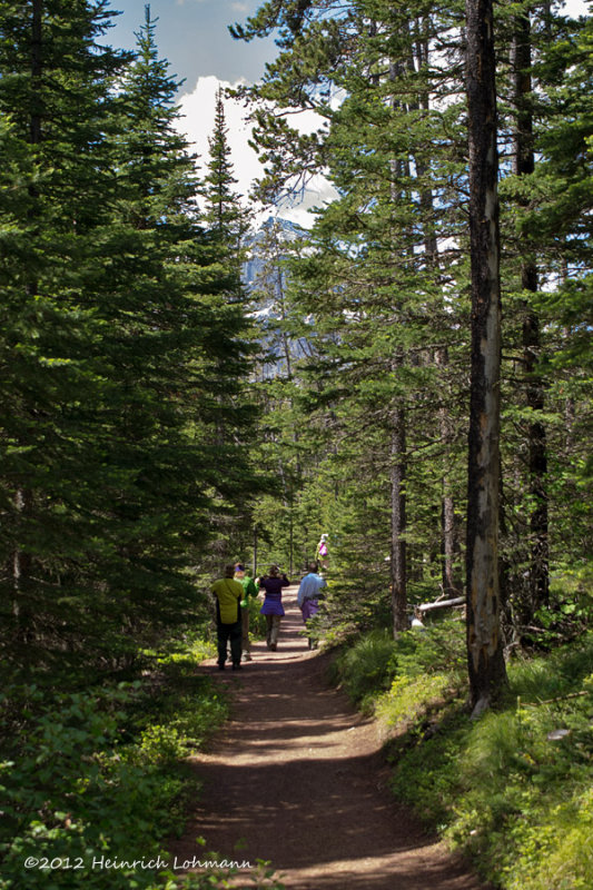 K5F7184-Blakiston Falls.jpg