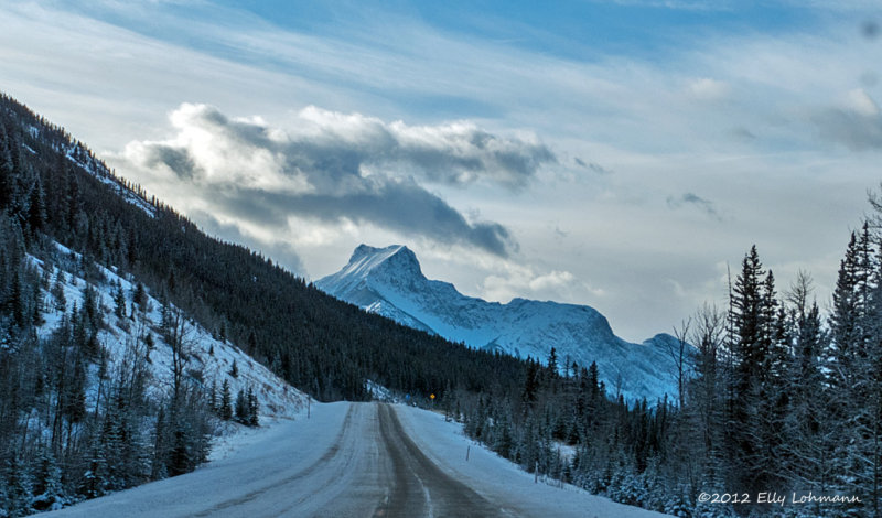 IGP0420-Kananaskis.jpg