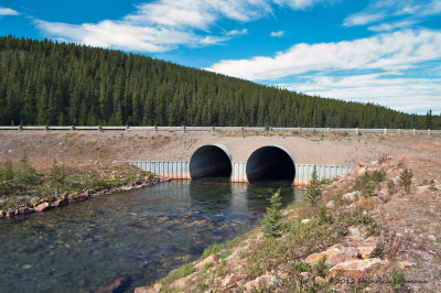 K241635-Alaska Highway.jpg