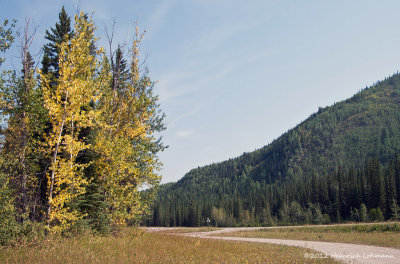 K242155-Alaska Highway.jpg