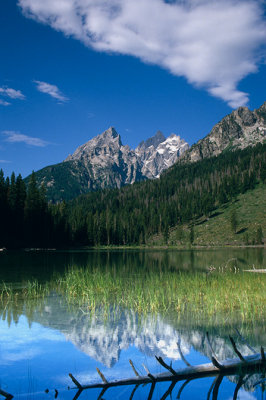 Lake Reflection