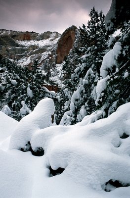 Canyon Snowfall