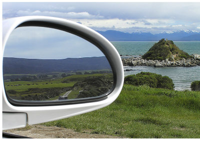 Looking Forward Looking Back
