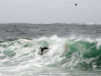 Wipeout