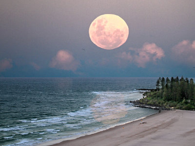 Moon Over Snapper Rock