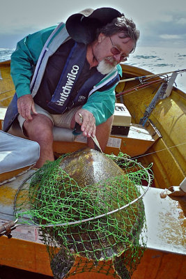Catch of the Day*Credit*