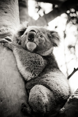 Hanging Tight