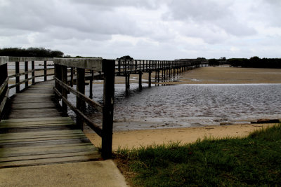 Bridge 1