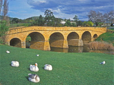 Richmond Bridge & Ducks*Credit*