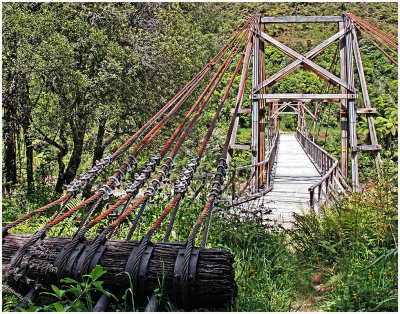 Cable Suspended  