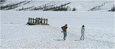  Snow Bridge