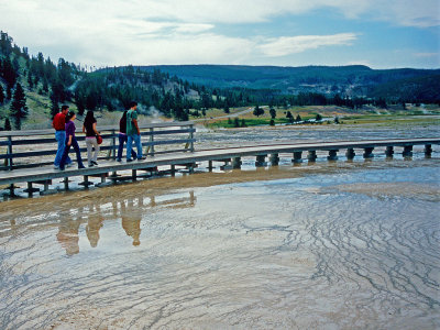 Yellowstone Foot Bridge