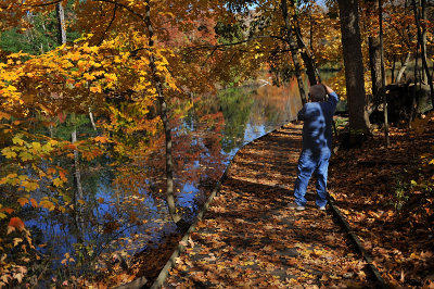 Photographing Autumn