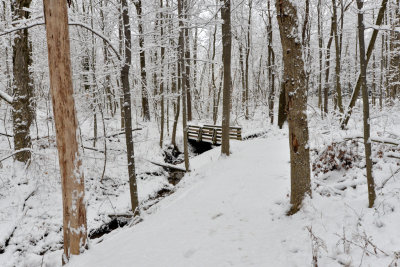 Rowe Woods Trail Bridge In Snow