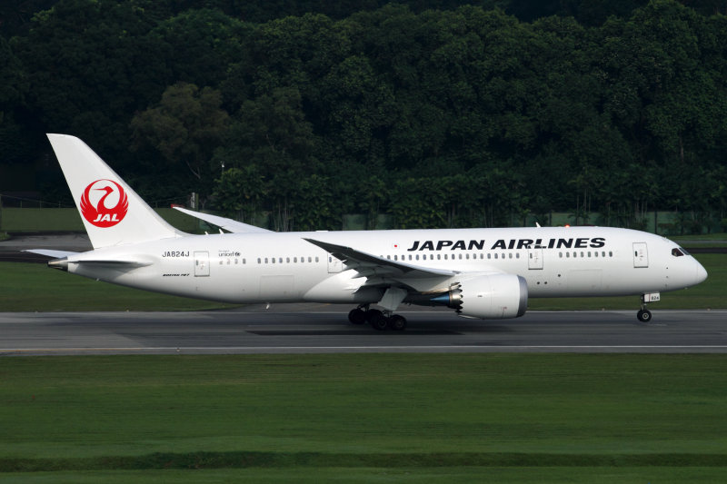 JAPAN AIRLINES BOEING 787 8 SIN RF IMG_8118.jpg