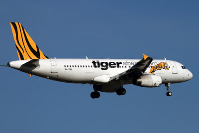 TIGER AIRWAYS AIRBUS A320 MEL RF IMG_7868.jpg