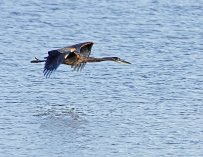 _DSC5583-2-12.jpg
