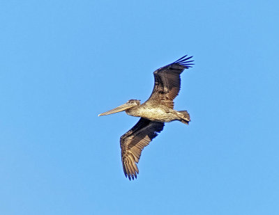 _DSC5837-2-12.jpg