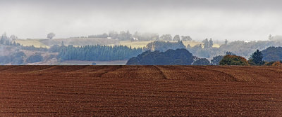 _DSC5694-2-12.jpg
