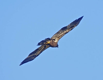 _DSC6546-2-12.jpg