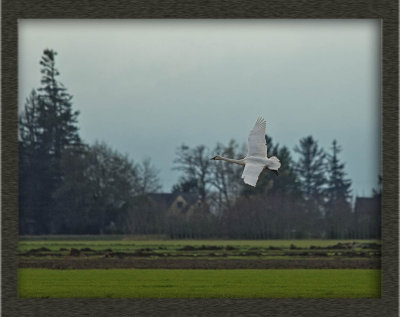 _DSC6692-2-12.jpg