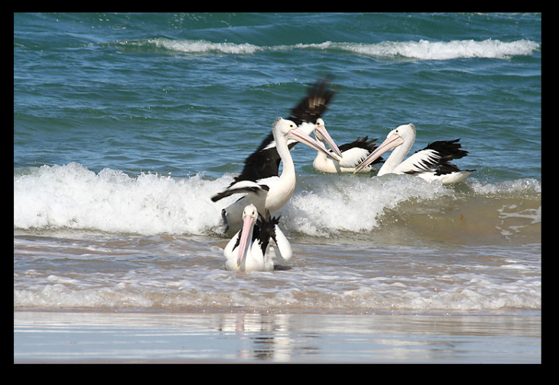 Sea Motion