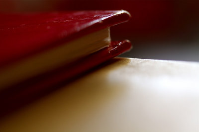 my little red book