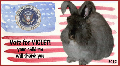 Vote for Violet ~ 2012